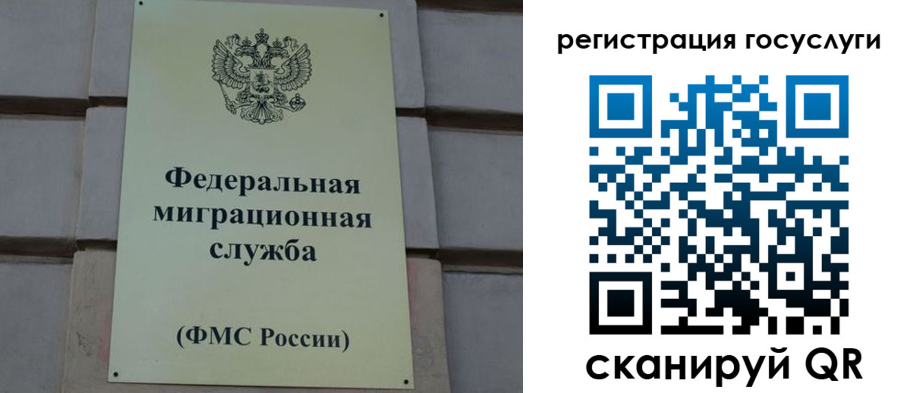 временная регистрация поиск в Чечне